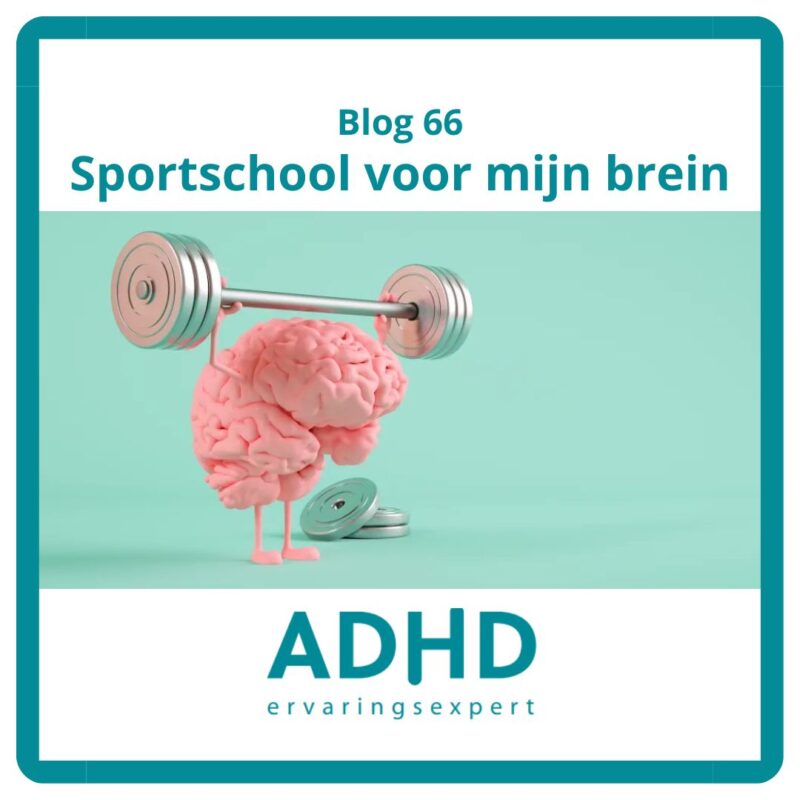 blog 66 sportschool voor je brein